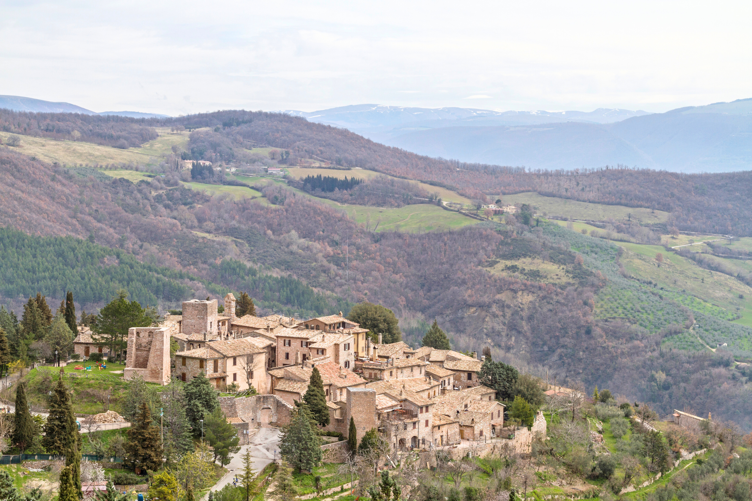 03_Collepino[1].webp